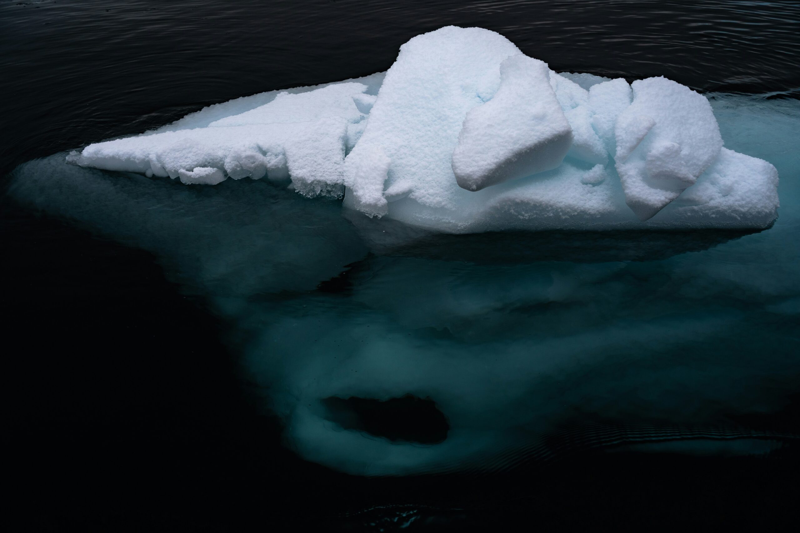 Iceberg en surface — métaphore des angles morts stratégiques en entreprise agroalimentaire - Albumine